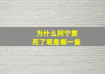 为什么阿宁要死了呢是哪一集