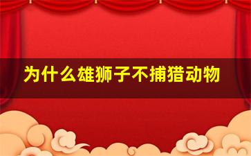 为什么雄狮子不捕猎动物