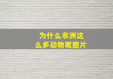 为什么非洲这么多动物呢图片