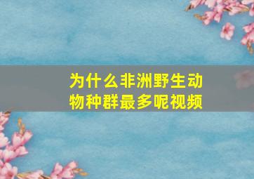 为什么非洲野生动物种群最多呢视频