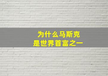 为什么马斯克是世界首富之一