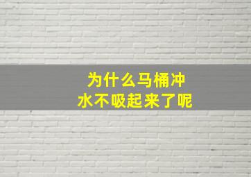 为什么马桶冲水不吸起来了呢