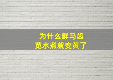 为什么鲜马齿苋水煮就变黄了