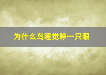 为什么鸟睡觉睁一只眼