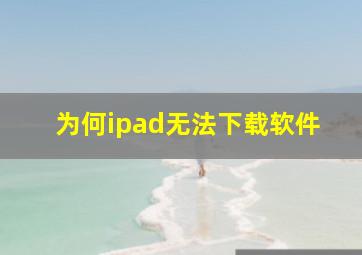 为何ipad无法下载软件