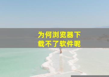 为何浏览器下载不了软件呢