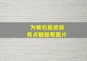 为啥右脸皮肤有点粗糙呢图片