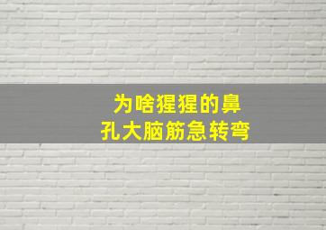 为啥猩猩的鼻孔大脑筋急转弯