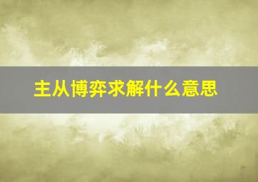 主从博弈求解什么意思