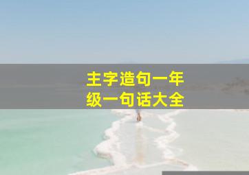 主字造句一年级一句话大全