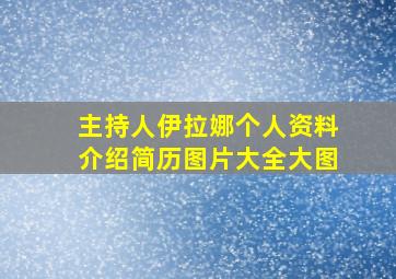 主持人伊拉娜个人资料介绍简历图片大全大图