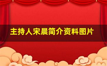 主持人宋晨简介资料图片