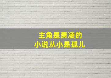 主角是萧凌的小说从小是孤儿