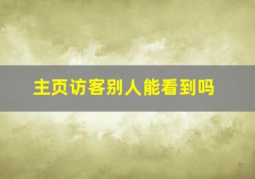 主页访客别人能看到吗