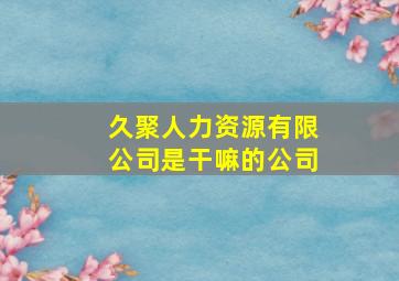 久聚人力资源有限公司是干嘛的公司