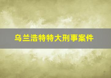 乌兰浩特特大刑事案件