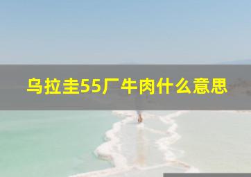 乌拉圭55厂牛肉什么意思