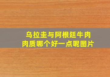 乌拉圭与阿根廷牛肉肉质哪个好一点呢图片