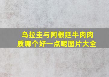 乌拉圭与阿根廷牛肉肉质哪个好一点呢图片大全