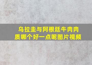 乌拉圭与阿根廷牛肉肉质哪个好一点呢图片视频