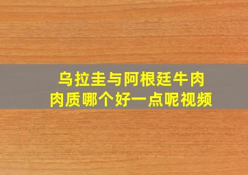 乌拉圭与阿根廷牛肉肉质哪个好一点呢视频