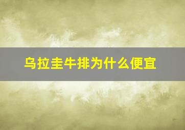 乌拉圭牛排为什么便宜