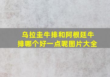 乌拉圭牛排和阿根廷牛排哪个好一点呢图片大全