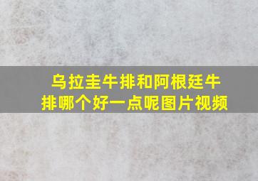 乌拉圭牛排和阿根廷牛排哪个好一点呢图片视频