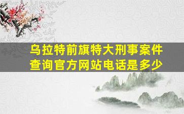 乌拉特前旗特大刑事案件查询官方网站电话是多少