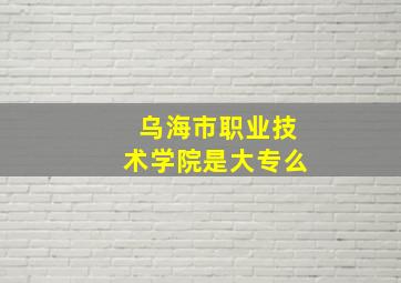 乌海市职业技术学院是大专么