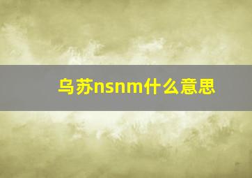 乌苏nsnm什么意思