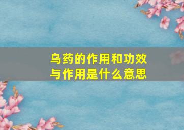 乌药的作用和功效与作用是什么意思