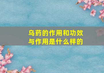 乌药的作用和功效与作用是什么样的