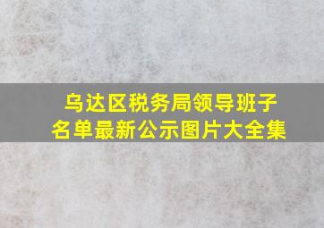 乌达区税务局领导班子名单最新公示图片大全集