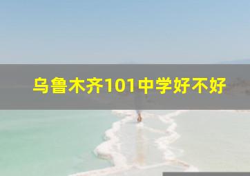 乌鲁木齐101中学好不好