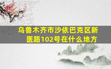 乌鲁木齐市沙依巴克区新医路102号在什么地方