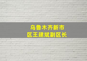 乌鲁木齐新市区王建斌副区长