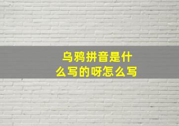 乌鸦拼音是什么写的呀怎么写