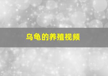 乌龟的养殖视频