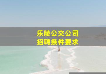 乐陵公交公司招聘条件要求