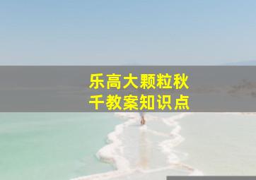 乐高大颗粒秋千教案知识点