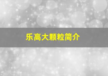 乐高大颗粒简介