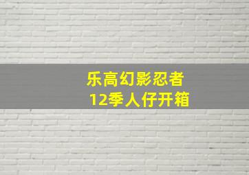 乐高幻影忍者12季人仔开箱