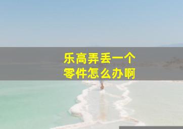 乐高弄丢一个零件怎么办啊