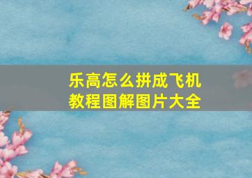 乐高怎么拼成飞机教程图解图片大全