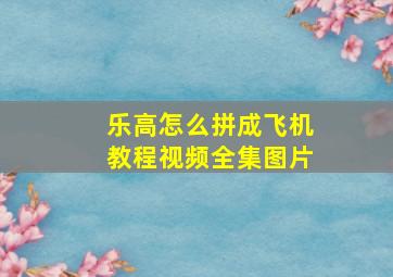 乐高怎么拼成飞机教程视频全集图片