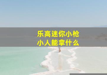 乐高迷你小枪小人能拿什么