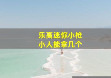 乐高迷你小枪小人能拿几个