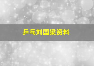 乒乓刘国梁资料