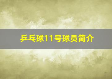 乒乓球11号球员简介